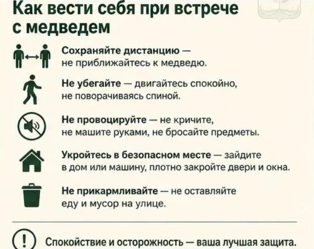2.jpg 2.jpg